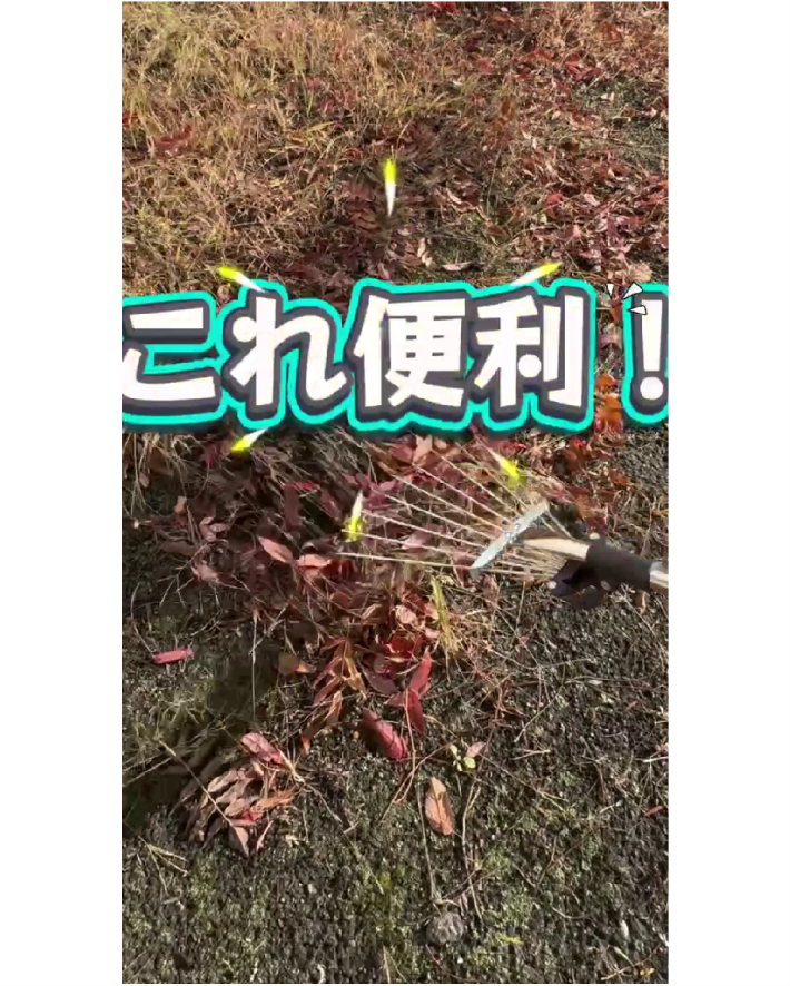 落ち葉集め、もっとラクにできるかも🍂